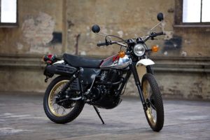 standard motorbike
